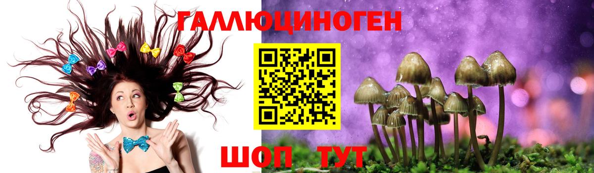 Коломна  Псилоцибиновые грибы прущие грибы  Вход с VPN  Псилоцибиновые грибы Psilocybe 